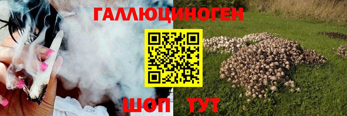 Новошахтинск  Псилоцибиновые грибы прущие грибы  Вход с VPN  Псилоцибиновые грибы MAGIC MUSHROOMS 